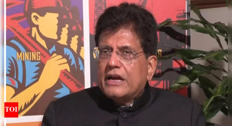 ‘We provide huge amount of talent’: Piyush Goyal amid Donald Trump’s H-1B fee hike; highlights clean energy potential