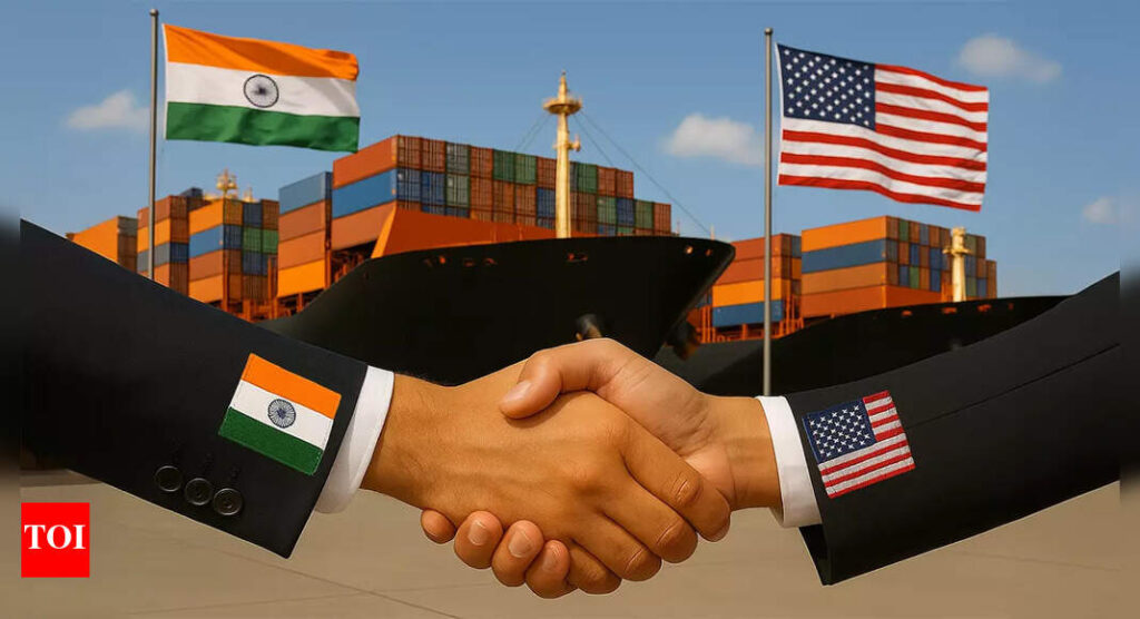 India-US trade deal: ‘Talks are happening at different levels’, says official; Piyush Goyal-led team expected to return this week