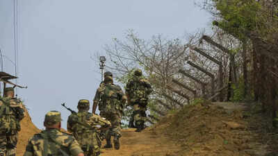 BSF foils infiltration bid along international border, detains Pak intruder | India News