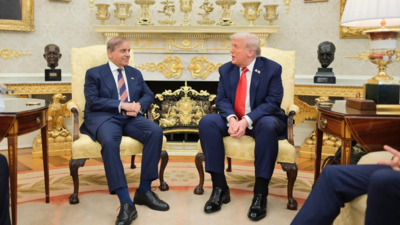 ‘Averted catastrophe’: Pakistan PM hails Trump as ‘man of peace; all that unfolded in their meeting