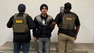 ‘Dangerous alien’: US arrests another ‘illegal’ Indian for multi-vehicle crash; blasts California governor for issuing license