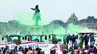 Want to bring a dog to this Italian city? That’ll be .75