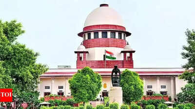 Voter registered in multiple seats can’t contest polls: Supreme Court | India News