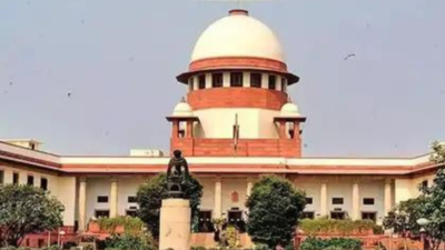 Make mechanism to ensure sale of green crackers, Supreme Court tells Centre | India News