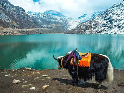 6 adventure experiences in Sikkim for thrill seekers
