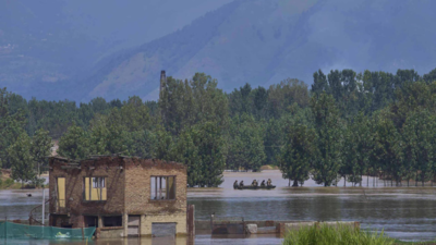 Kashmiri Pandit teacher left Valley in body, but never in spirit | India News