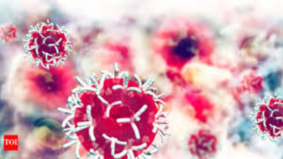 Cancer cases in India up by 26%, deaths 21% since 1990 | India News