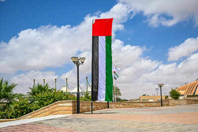 UAE just launched 4 new visit visas for AI, Cruise, Events, and Entertainment: Find out who can apply | World News