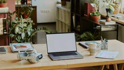 8 desk plants that bring luck and peace: Improve mood and workplace wellness |