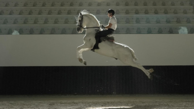 Abu Dhabi to open classical Horse riding school on Jubail Island in November | World News