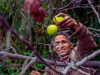 Which state is known as the ‘Apple State of India’? |