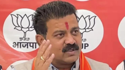 Chhattisgarh deputy CM Vijay Sharma hits back at Congress over ‘vote theft’ allegations, cites bogus entries in voter list | Raipur News