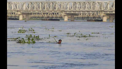 Delhi-NCR rain fury: Yamuna above danger mark, evacuations on; Gurgaon schools, offices shut after heavy downpour | Delhi News