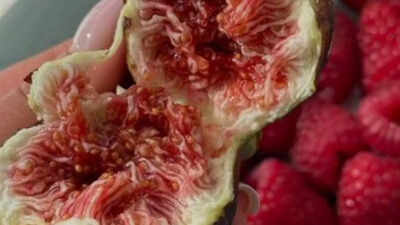 Do figs really have wasps in them? Here’s what experts say |