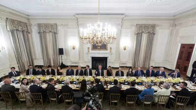 Donald Trump’s high-IQ group: How many Indian-origin tech giants were present at Trump’s White House dinner – names and profiles | World News