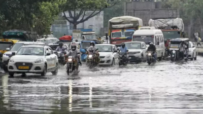 Sept too likely to be wetter than normal in India: IMD | India News