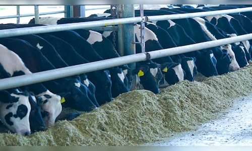 Godrej Agrovet inks ₹960-crore deal with Food Processing Ministry