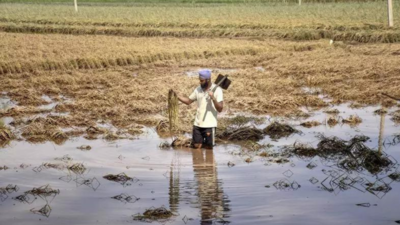 Intellectuals, writers, artists, farmer groups condemn vilification of migrant workers in Punjab | India News