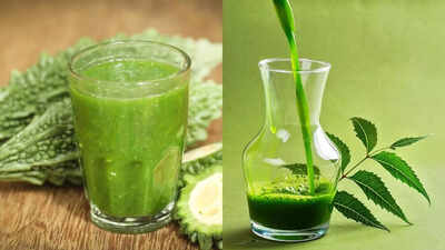 Karela juice vs. Neem juice: Which is better for liver detox, blood sugar, skin wellness |
