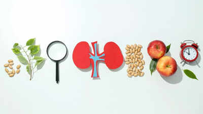 Kidney transplant recovery diet: Best foods, meal tips, and lifestyle changes |