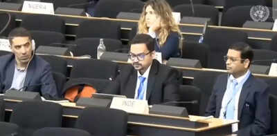 ‘Nation that bombs own people’: India tears into Pakistan at UNHRC; calls for objectivity | India News