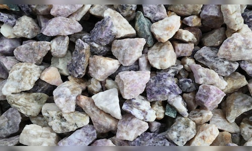 Another Wall Street stock jumps 100% in a day on news of Trump administration seeking stake