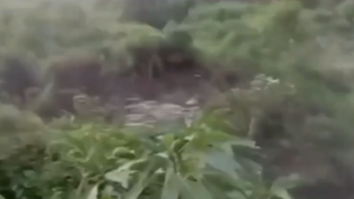Himachal Pradesh landslide: Massive hill collapse near Chaukar village — watch | Shimla News