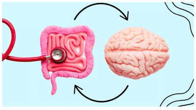 How the GUT controls the brain and why this little knowledge is crucial for good health