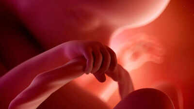 Microplastics in the womb: What we know about risks to unborn babies |