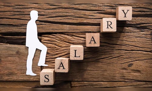 TCS rolls out 4.5-7% salary hikes for majority of employees