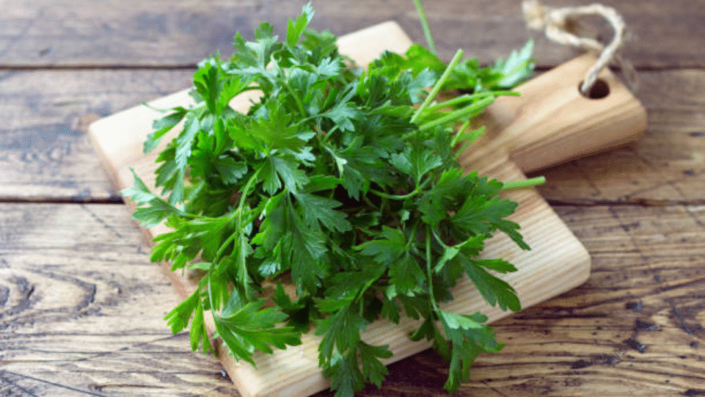 5 science-backed benefits of coriander (dhaniya)
