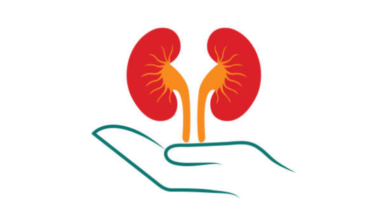 Best herbal teas for kidney support besides water and supplements