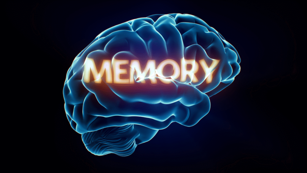 5 everyday habits that may be secretly harming memory, backed by science