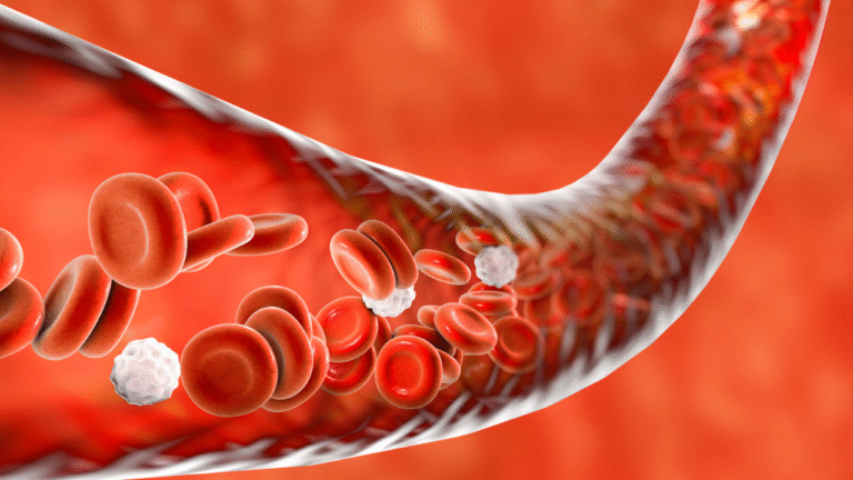 5 foods that can cleanse arteries and enhance blood circulation