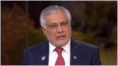 ‘They say it’s bilateral issue’: Pakistan minister reveals how India firmly rejected any US involvement in dialogue | India News