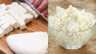 Paneer vs cottage cheese: Which protein-rich cheese is better for your health, diet, and favourite recipes |