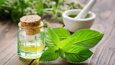 Peppermint oil for oral hygiene: Natural remedy for healthy teeth and gums |
