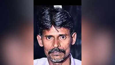 Man, 47, dies of rabies despite vaccination after stray dog bite in Chennai | Chennai News