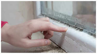 Mold Side Effects: How the harmless looking mold in home can be secretly impacting health |