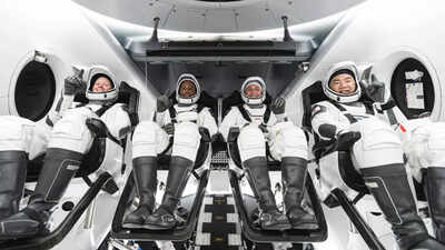 Spaceflight increases aging: NASA study finds blood-forming stem cells at risk |