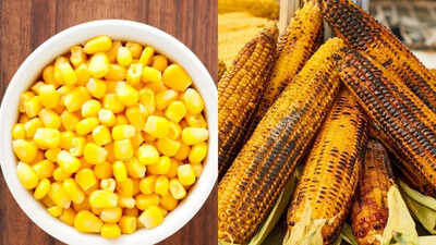 Sweet Corn vs. Desi Bhutta : Which is better for weight control and blood sugar |
