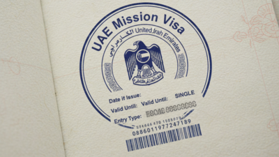UAE Mission Visa 2025: A complete guide to short term employment for expat professionals | World News