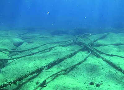 Undersea cables cut in Red Sea, disrupting internet access in West Asia; NetBlocks says India hit too