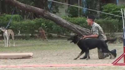 ‘Rampur Hound, Mudhol Hound’: BSF deploying Indian dog breeds on borders; inspired by PM Modi’s ‘Mann Ki Baat’ | India News