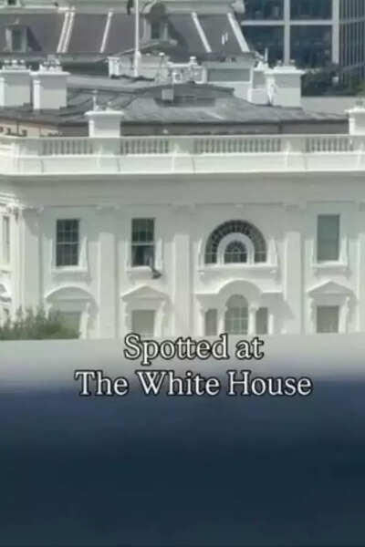 ‘What just fell out of White House?’ Viral bag toss sparks wild theories: Epstein files, Melania escape, or just trash? | Watch
