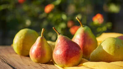 What is Babugosha called in English: Know its health benefits, how it helps boost immunity, and manage diabetes |