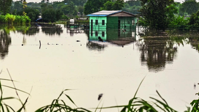 From plush to slush: Yamuna floodwaters swamp Noida’s luxury farmhouses; pools, lawns, banquet halls submerged | Noida News