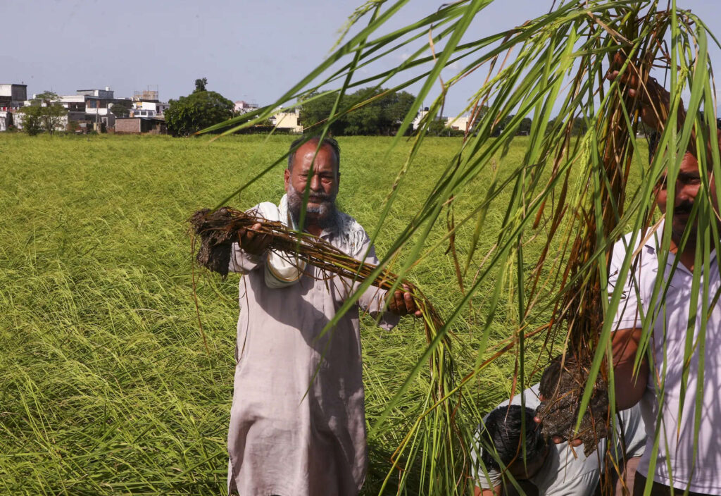 Flood-hit farmers in Maha to get Rs 31k crore