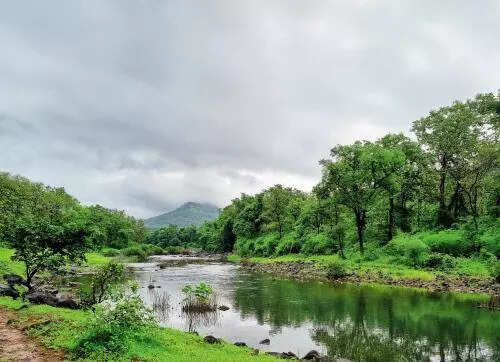 After public outcry, Bangalore University trims proposal to chop 420 trees, ETEducation