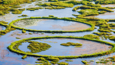 2026 travel trends are out, and this Northeastern city is India’s next big travel crush! |